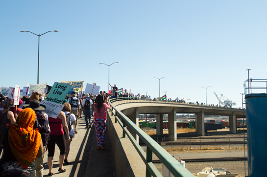 Live shots: Pro-Palestine activists block ship at the Port of Oakland
