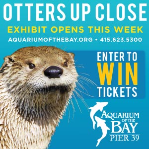 Win Tickets: River otters at Aquarium of the Bay