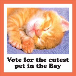 The Guardian Presents: Cutest Pet in the Bay